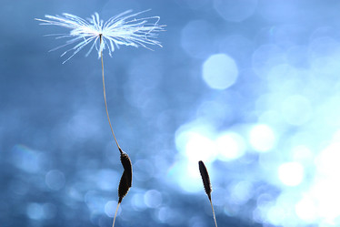 Similar image 10535378