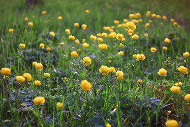 Similar image 10535381