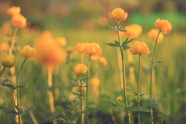 Similar image 10535383