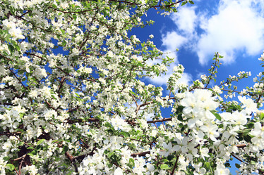 Similar image 10535393