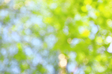 Similar image 10535395