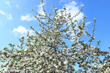 Similar image 10535398