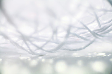 Similar image 10535418