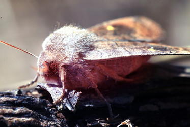 Similar image 10535419