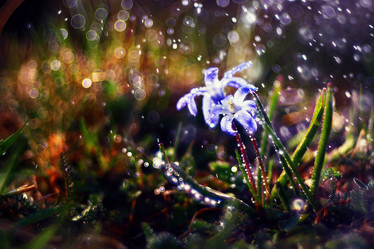 Similar image 10535421