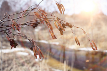 Similar image 10535422