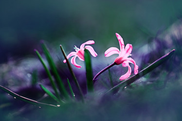 Similar image 10535423