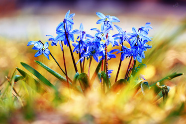 Similar image 10535425