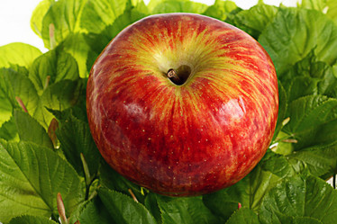 Similar image 10535437