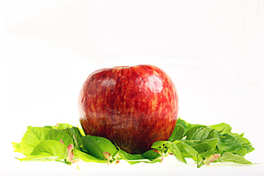 Similar image 10535439