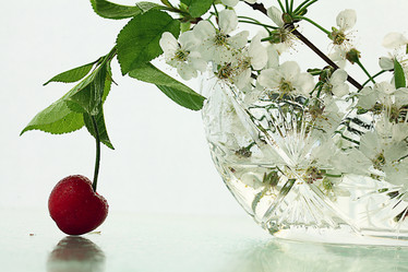 Similar image 10535440