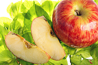 Similar image 10535441