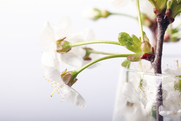 Similar image 10535443