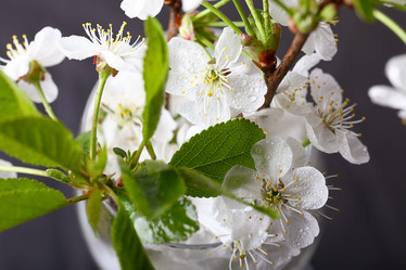 Similar image 10535445