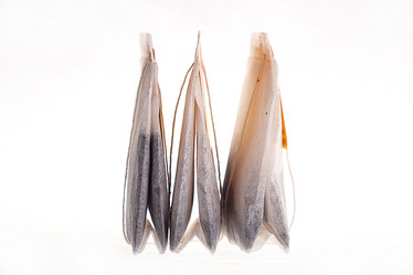 Similar image 10535446