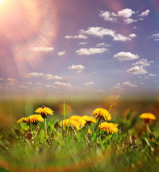 Similar image 10535466