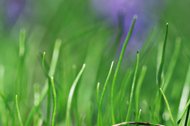 Similar image 10535467