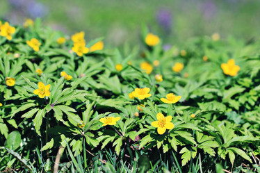 Similar image 10535468