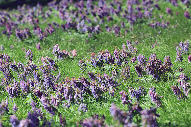 Similar image 10535471