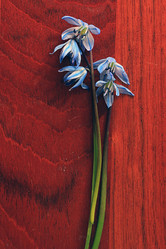 Similar image 10535473