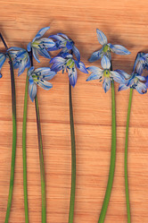 Similar image 10535474