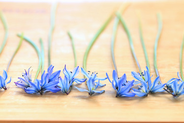 Similar image 10535476