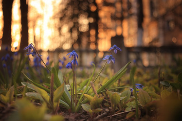 Similar image 10535478