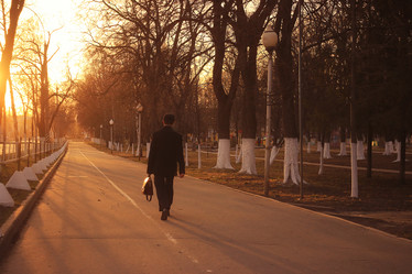 Similar image 10535480