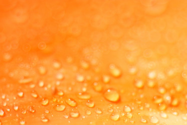 Similar image 10535486