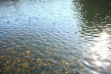 Similar image 10535490