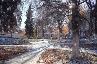 Similar image 10535500