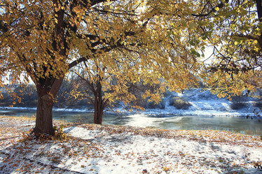 Similar image 10535508