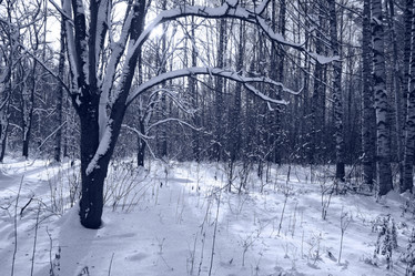 Similar image 10535509