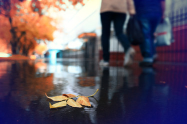 Similar image 10535542