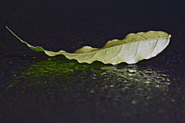 Similar image 10535552