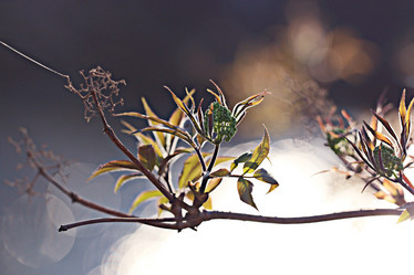 Similar image 10535555