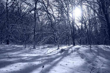 Similar image 10535556