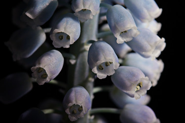 Similar image 10535557