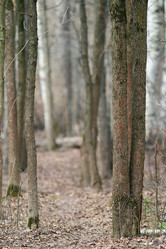 Similar image 10535598