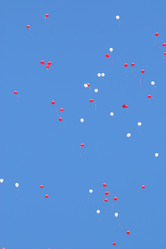 Similar image 10535603