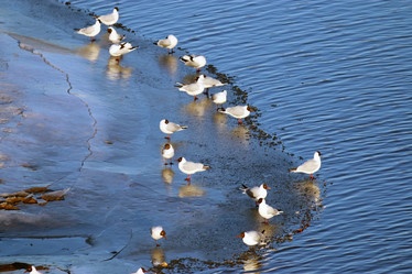 Similar image 10535604