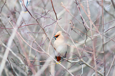 Similar image 10535607