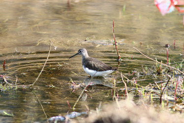 Similar image 10535609