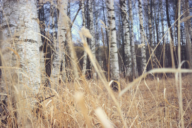 Similar image 10535614