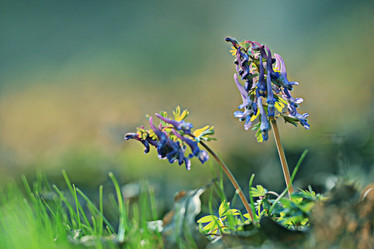 Similar image 10535622