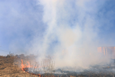 Similar image 10535623