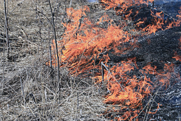 Similar image 10535625