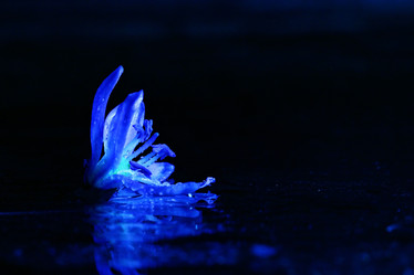 Similar image 10535626