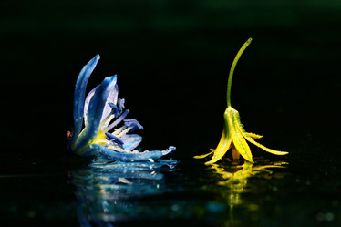 Similar image 10535629