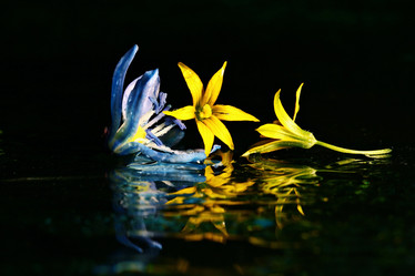 Similar image 10535631